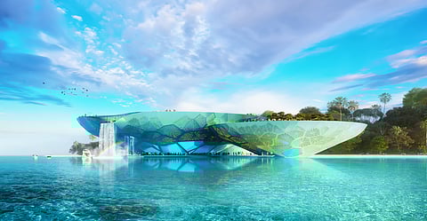 Oceanarium inspired by Elkhorn Coral and cross section of Sea Urchins