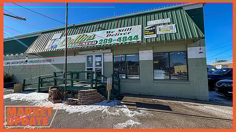 Collins Feed & Seed Evolves to "We Feed Birds"