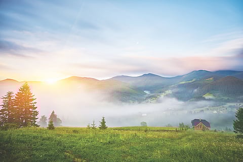 8 Ways to Develop an Attitude of Gratitude