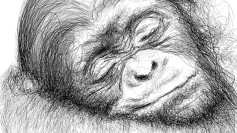 Strokes of Artistic Genius!