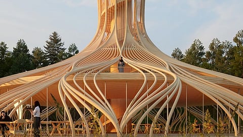 Timber Tower: A Swiss Delight for Nature Lovers