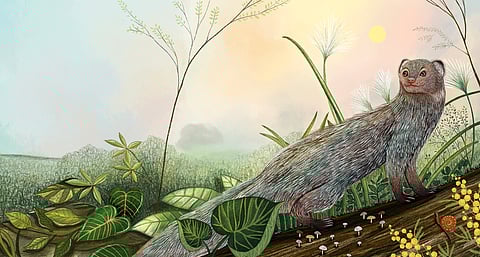 Flow Like a River, Grow Like a Garden