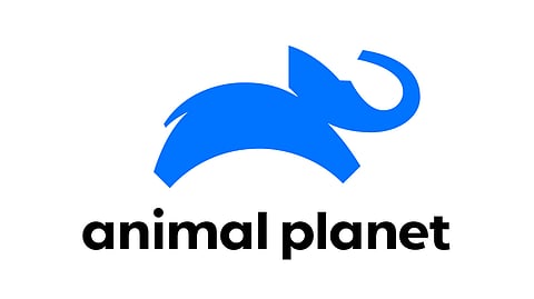 Recreated a Universal and Joyful Logo for Animal Planet