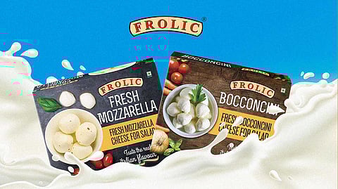 Packaging Design for Frolic Italian Cheese