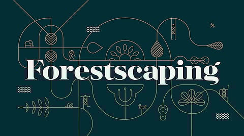 Forestscaping: Branding Identity Case Study