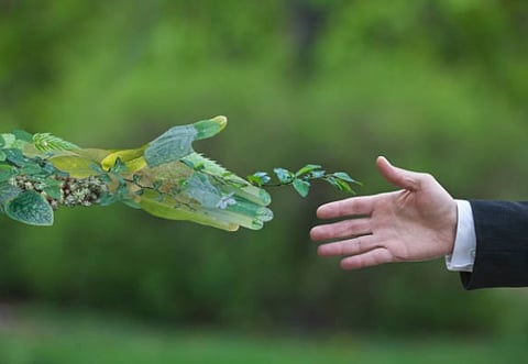 Sustainability Strategy