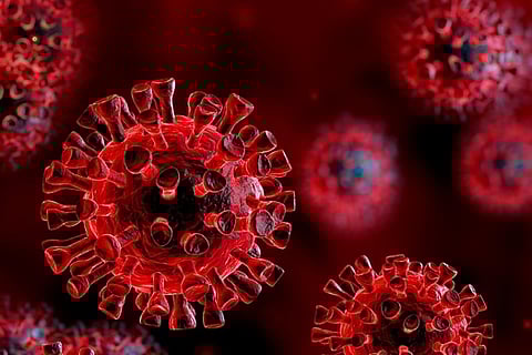 House OKs bill establishing virology institute