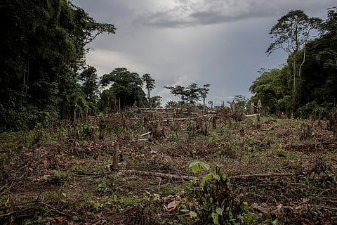 A general view of a deforested farm in Yanonge, 60 km from the town of Kisangani in Tshopo province, northeastern Democratic Republic of the Congo, 31 August 2022. Photo by Guerchom Ndebo / AFP