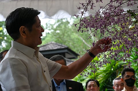 Roslan RAHMAN/POOL/Agence France-Presse
Friendship blooms. Philippine President Ferdinand ‘Bongbong’ Marcos Jr. admires an orchid named after him and First Lady Louise Araneta-Marcos, the ‘Dendrobium Ferdinand Louise Marcos,’ during an orchid-naming ceremony at the National Orchid Garden in Singapore on 7 September 2022.
