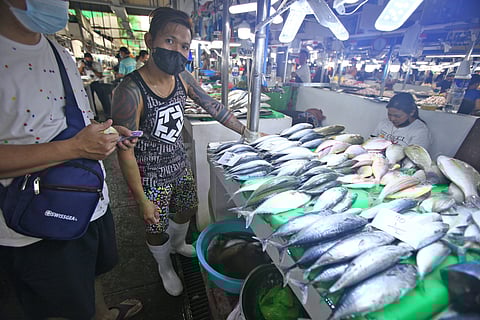 Tribune photo by Joey Sanchez Mendoza