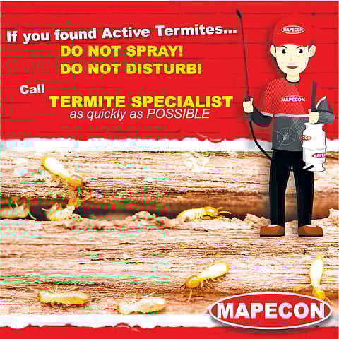 Pest control tips to keep your household safe