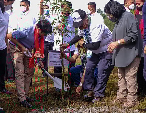 Leaving a legacy To celebrate his 65th birthday, President Ferdinand Romualdez Marcos Jr. chose to lead the National Simultaneous Bamboo and Tree Planting kick-off ceremony at the Old San Mateo Sanitary Landfill on Tuesday, 13 September 2022. | Photograph by Yummie Dingding for the daily tribune @tribunephl_yumi
