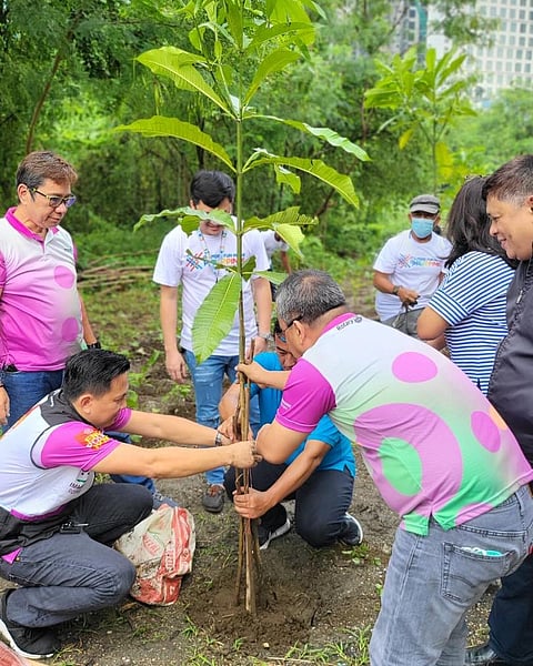 Photograph courtesy
of Nayong Pilipino Foundation
NPF is looking to establish a
tree-lined park by organizing tree planting activities with other government agencies, private sectors, and civil society groups.