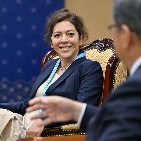 Nokor tags rights expert ‘U.S. puppet’