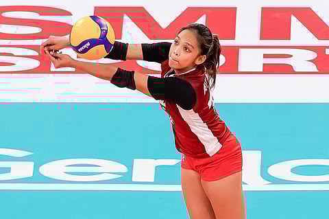 Photo courtesy of PVL