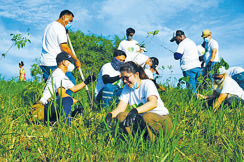 During this year’s Philippine Arbor Day, employees from Meralco Tagaytay Business Center joined the local government of Magallanes, Cavite in a tree planting activity in the municipality.