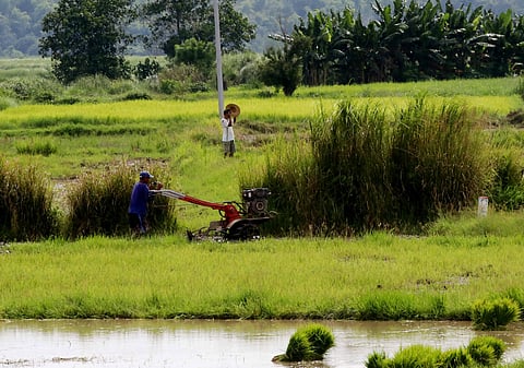 P2-B road to open Mindanao farmland