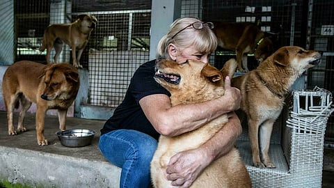 A huge number of local and foreign residents have quit Hong Kong over the last two years because of the political clampdown and harsh Covid control measures, and many are forced to leave their pets behind because of prohibitive transport costs. (Photo by ISAAC LAWRENCE / AFP)