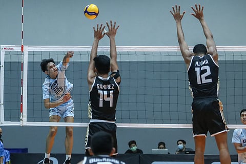 Cignal bounces back