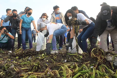 Manila Mayor Honey Lacuna (center) bends over to collect garbage at Baseco beach in Port Area, Manila Saturday during the 37th International Coastal Clean-up Drive. | Photograph by Bob Dungo Jr. for the daily tribune @tribunephl_bob