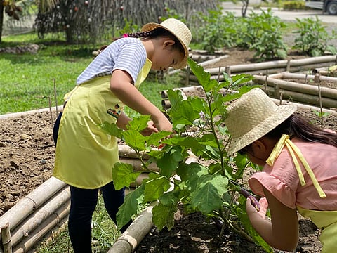 Agribusiness, isinusulong