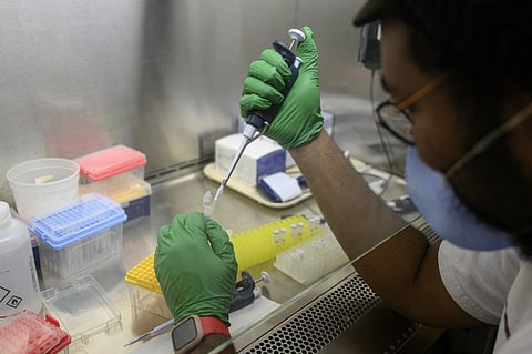 A research assistant prepares a PCR reaction for polio at a lab at Queens College on 25 August 2022, in New York City. Since the first polio case was identified in July in New York's Rockland County, the disease has been detected in New York City sewage, suggesting the virus is spreading. (Photo by ANGELA WEISS / AFP)