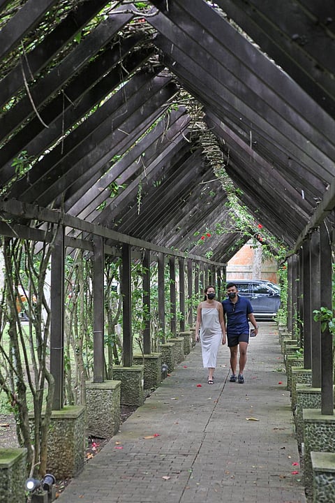 Photograph by Joey Sanchez Mendoza
for the daily tribune
@tribunephl_joey
WEDDINGS in Tagaytay usually have a natural ambience as the place is known for its gardens and cool weather.
