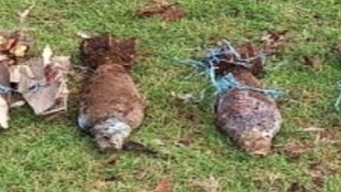 Soldiers exploded 2 UXOs in Tawi-Tawi