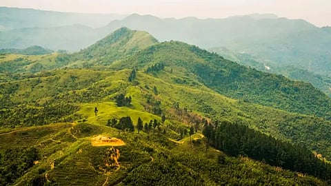 Police, DENR execs implicated