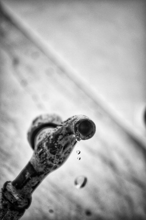 (Photo from Unsplash)