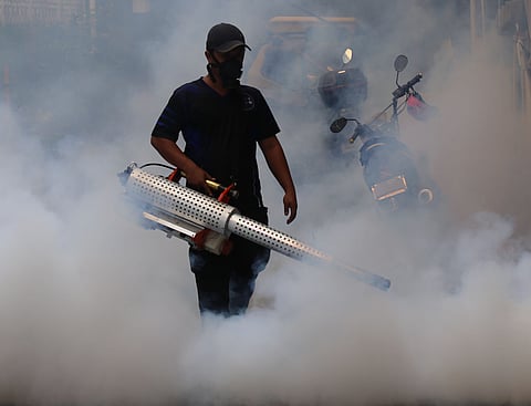 Eastern Visayas dengue cases on the rise