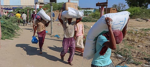 Wheat flour is distributed to vulnerable families in Abyan, Yemen. | Photograph courtesy of WFP