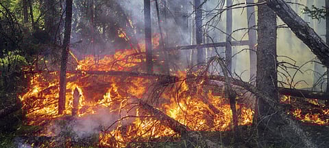 This forest fire in Saskatchewan, Canada is one of the manifestations of climate change in the developed world. | Photograph courtesy of UN
