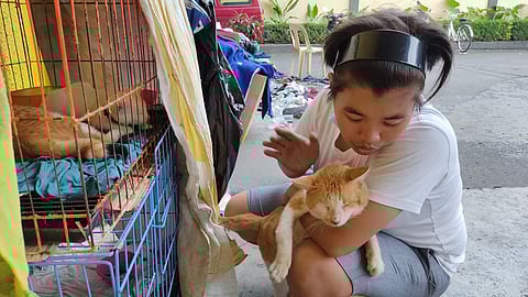 Pet parent Charlene Concepcion, whose 30 rescued cats perished in a fire in Sta. Mesa Manila on 21 August, plays with a ‘puspin’ (pusang Pinoy) at a nearby evacuation site. | PHOTOGRAPH BY Gab Humilde Villegas FOR THE DAILY TRIBUNE @tribunephl_gab