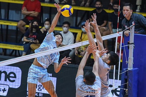 Photo courtesy of Spikers' Turf