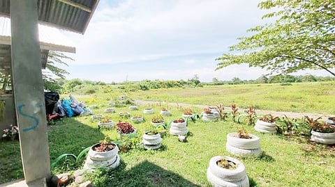 The old dumpsite of Tulunan now being converted into an organic vegetable farm. | PHOTOGRAPH COURTESY OF Jun Aguirre