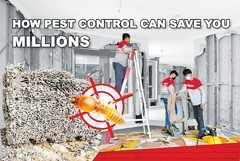 Keeping bars and restaurants pest-free