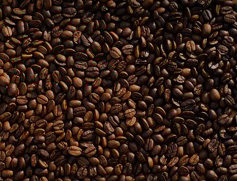 DA allots P84.15M for coffee program