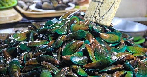 DOH warns public of red tide in six areas