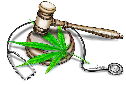 Legalize cannabis totally? Not so fast