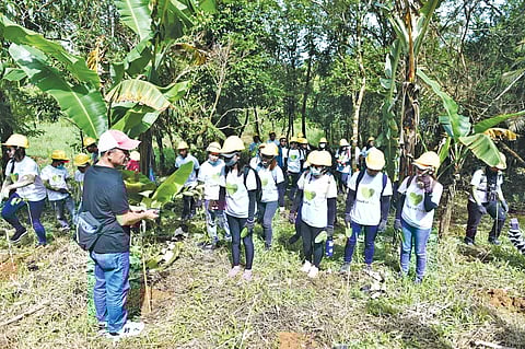 One Meralco Foundation Brings One For Trees to the Sierra Madre Mountains