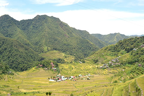 Batad Rice Terraces, Banaue.