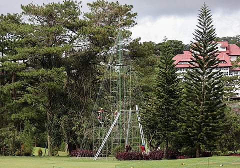 Photograph by Rio deluvio for the daily Dibune @tribunephl_rio
The Baguio Country Club is erecting its giant Christmas tree ahead of the Yuletide season.