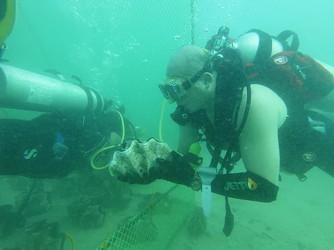 The community of Sta. Filomena, Alburquerque, Bohol will help ensure the protection of the taclobo sanctuary against poachers and monitor the growth and care of the giant clams. | PHOTOGRAPHs COURTESY OF JETTI PETROLEUM INC.
