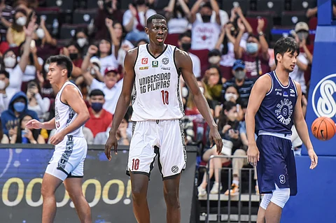 Diouf stands tall for Maroons