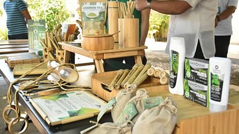 Leyte as Bamboo Corp, any taker? (1)