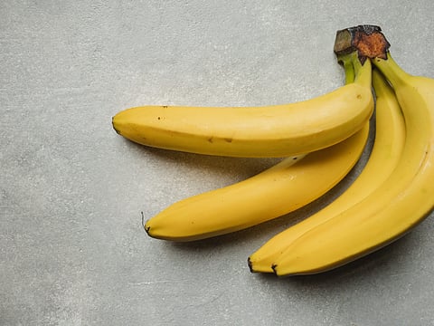 Intensive research to help troubled banana industry