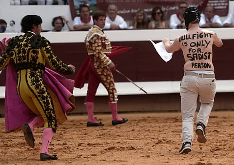 French lawmakers vote on bullfighting ban