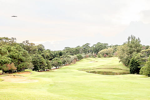 Camp John Hay Golf Course in Baguio City