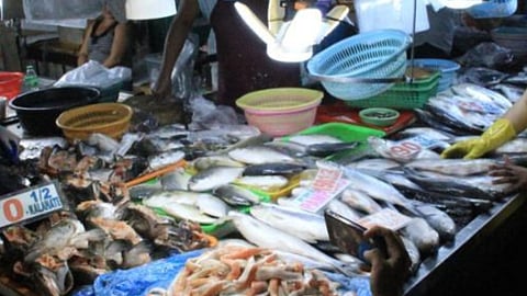 Imported fish sale ban under review